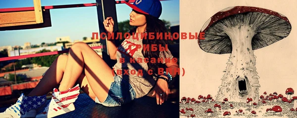 ешки Вязники