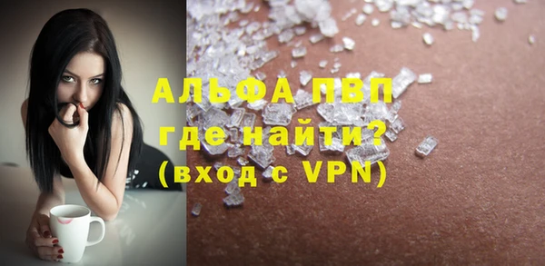 гашик Гусев