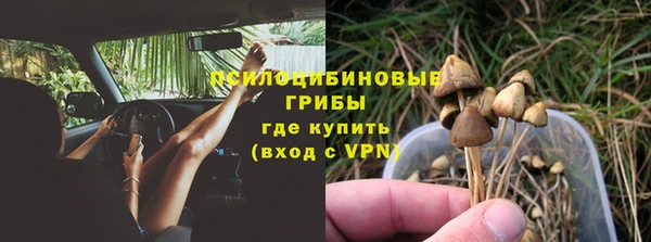 гашик Гусев