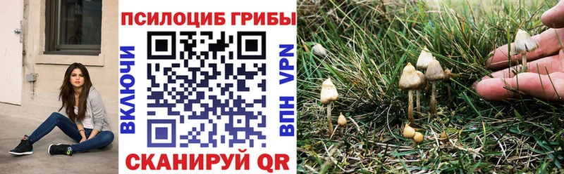 Псилоцибиновые грибы Cubensis  Емва 
